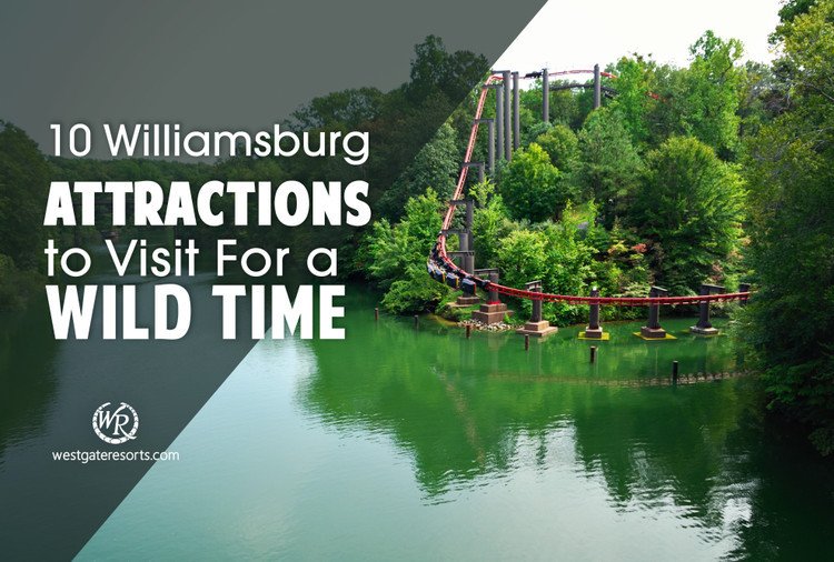 10 Williamsburg VA Attractions to Visit For a Wild Time
