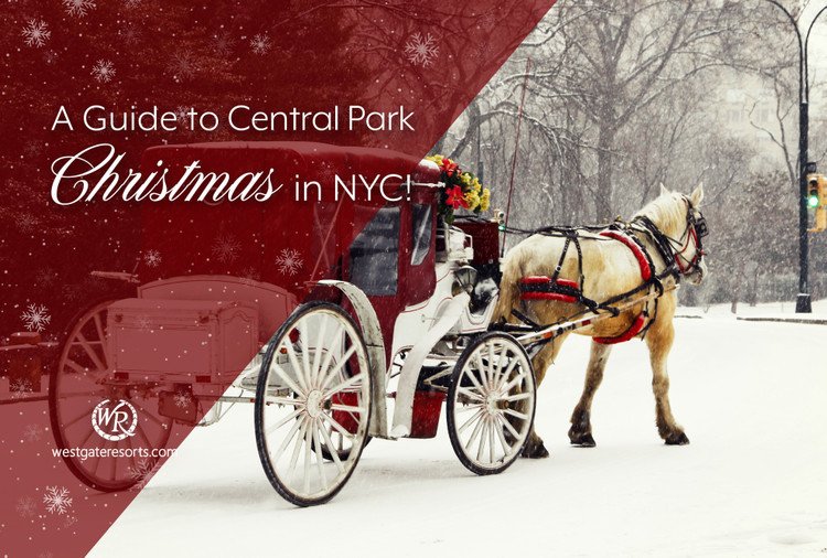 A Central Park Christmas in NYC: An Outdoor Guide to Merry Manhattan!