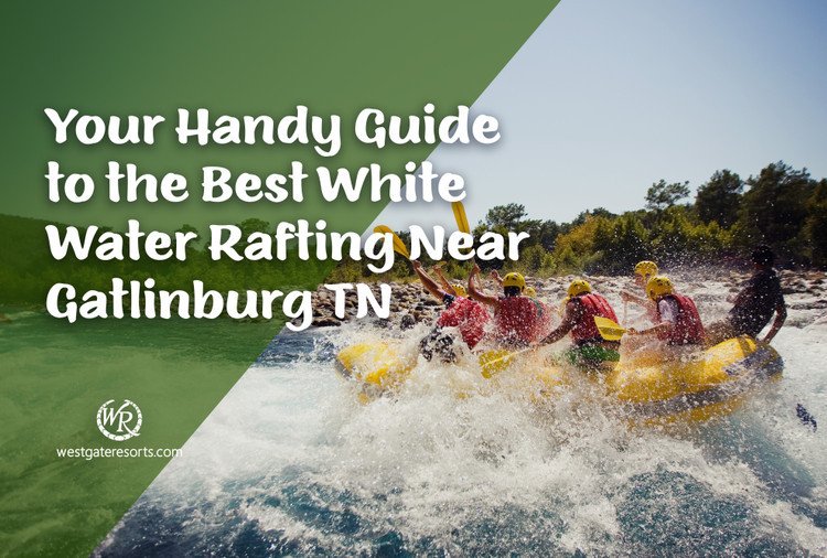 Your Handy Guide to the Best White Water Rafting Near Gatlinburg TN