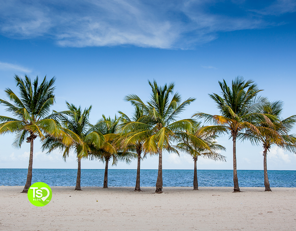 The Best Beaches In Florida To Cure Your Winter Blues