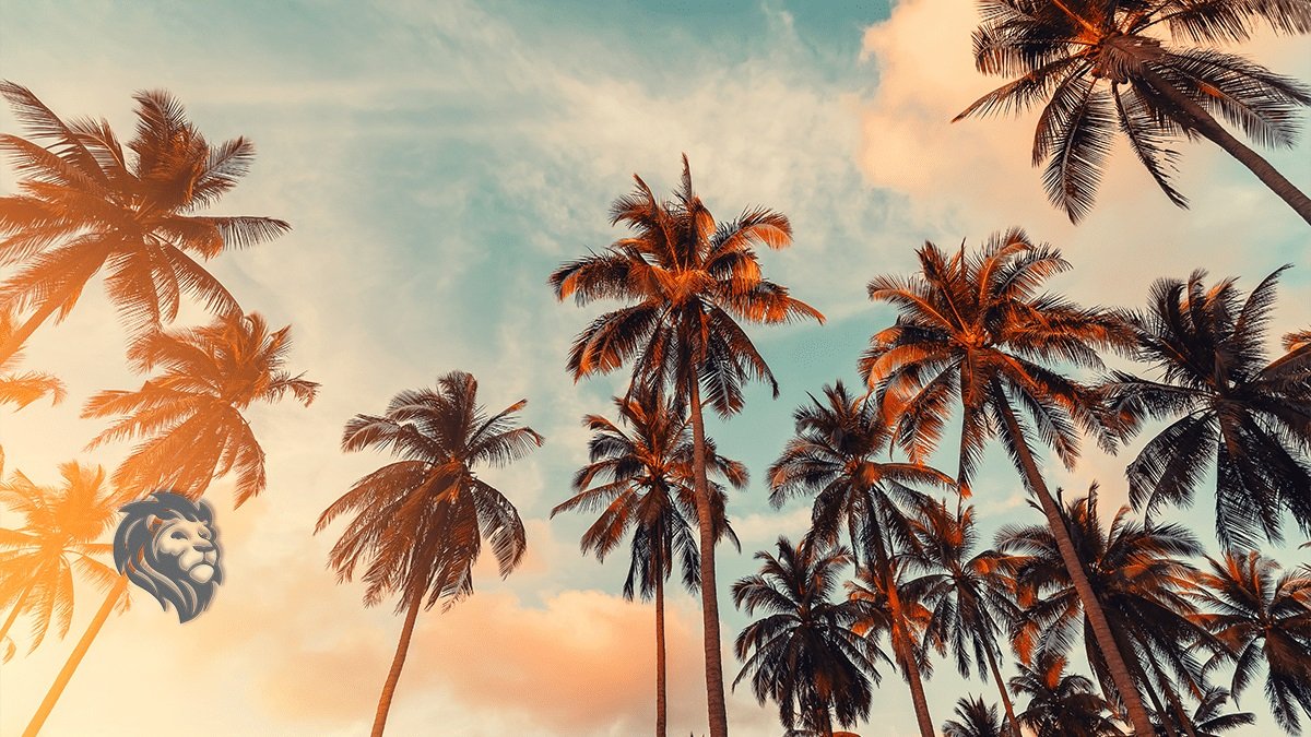 Best California Beaches To Vacation To