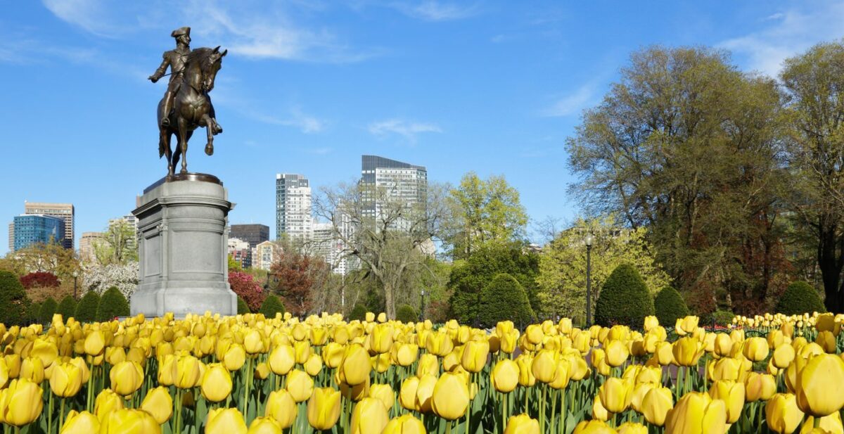 Boston in Bloom: The Best Ways to Celebrate Spring