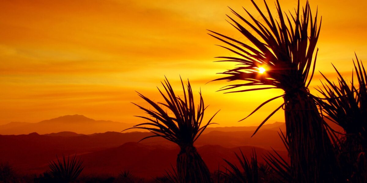 Exploring Nature in Palm Desert, California