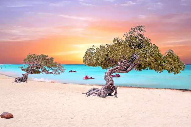 Here’s How I Made my Aruba Vacation a Wellness Getaway