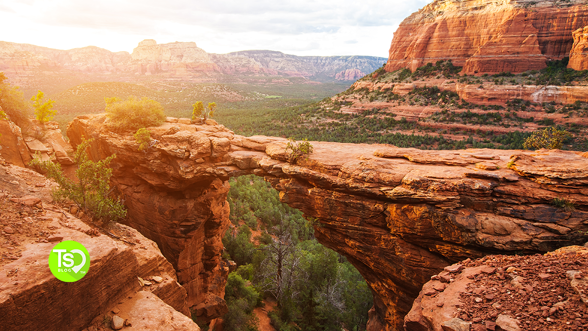 Arizona Timeshares for Dreamy Desert Vacations