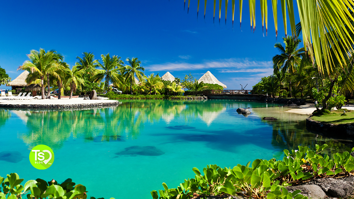 5 Tropical Vacation Rentals You MUST Book (At Least Once)