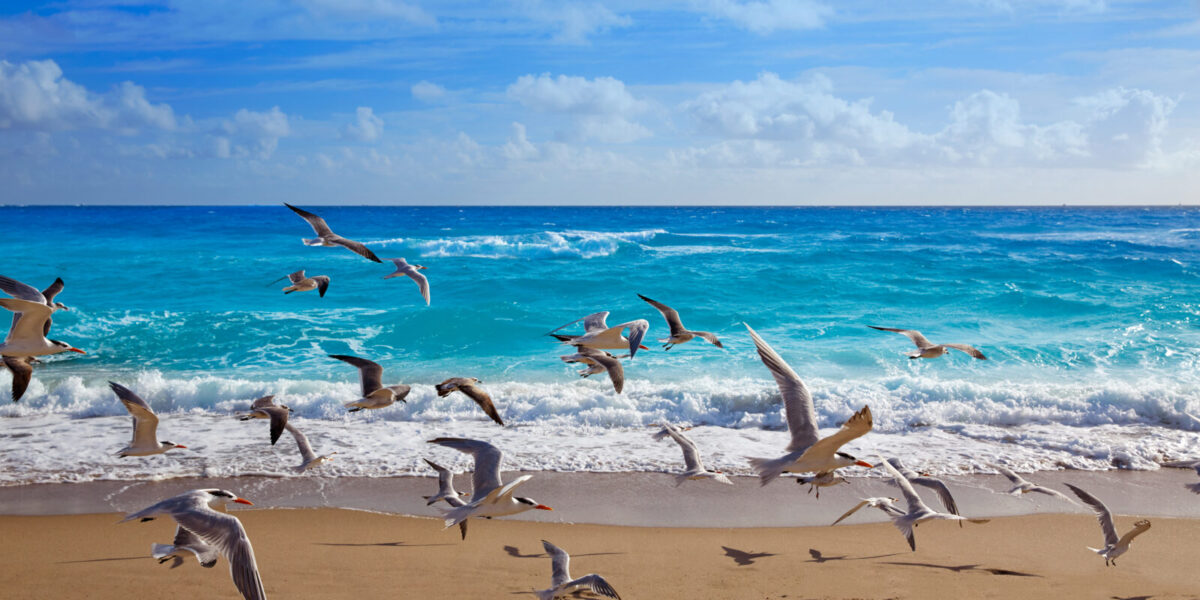 Stay Near Singer Island