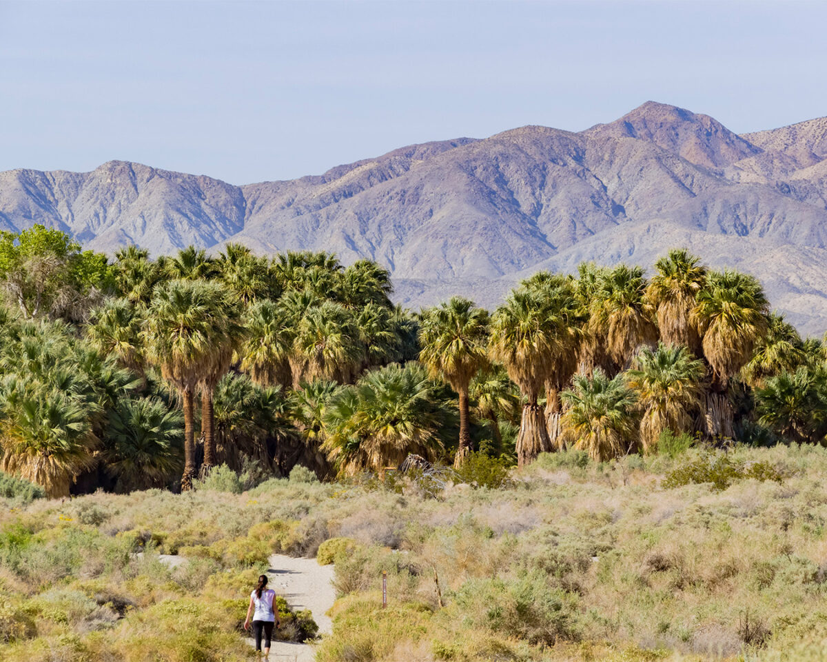 Tahquitz Canyon Waterfall Hike
