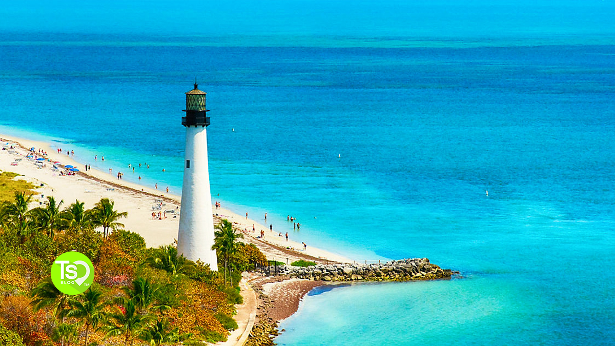 Top Timeshares in Miami: Discover Luxury Vacationing