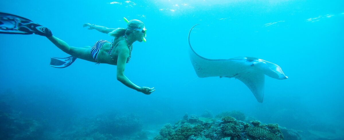 Adventures Underneath The Water