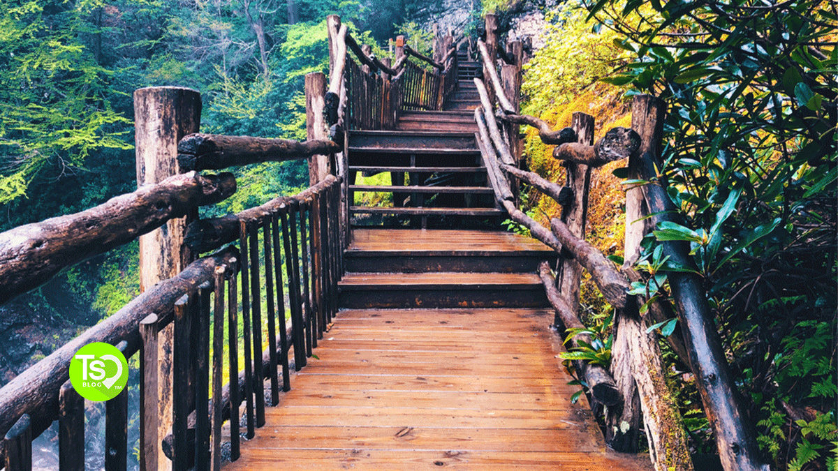 Poconos Timeshare Resorts For Your Next Cozy Mountain Retreat