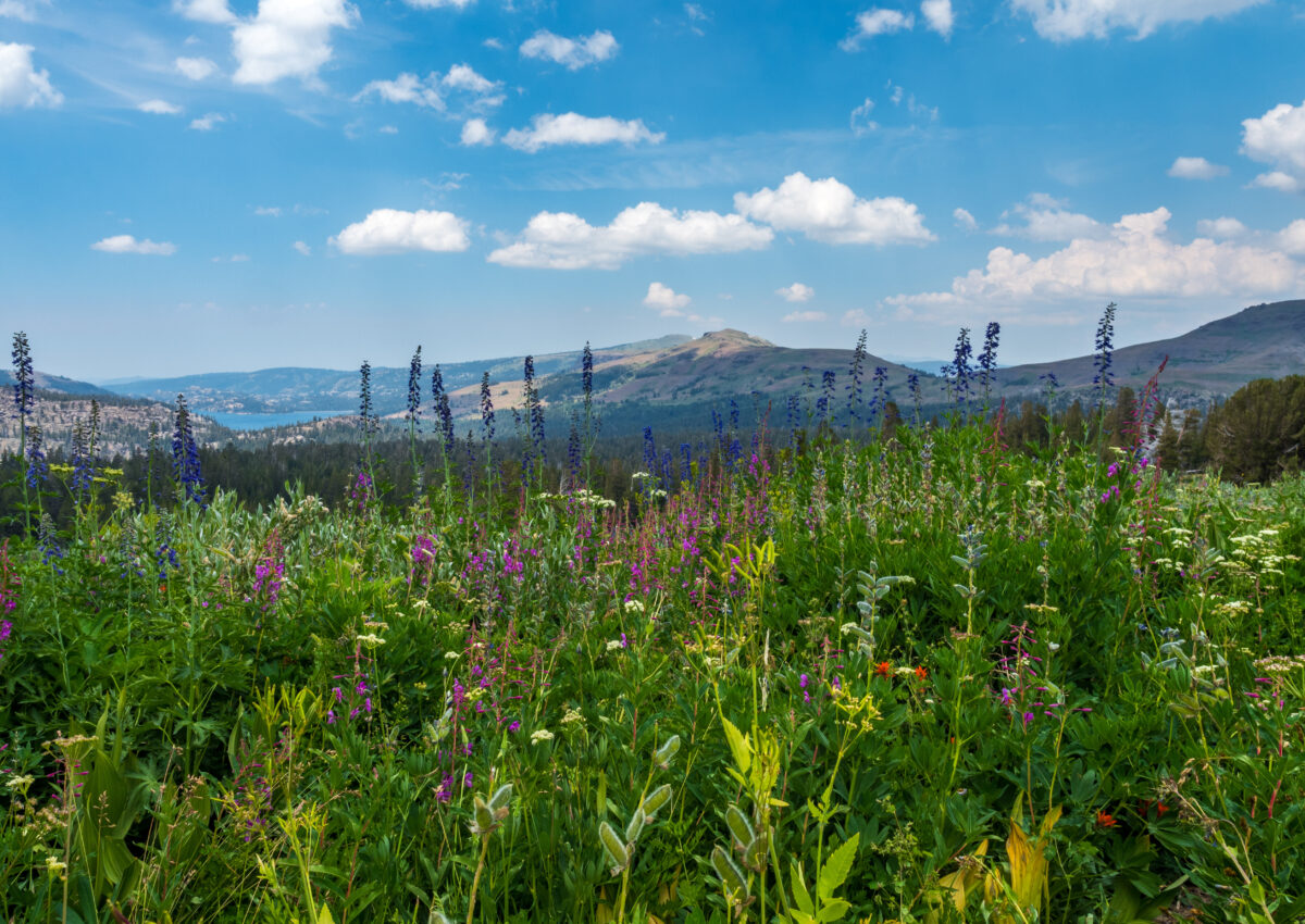 Spring Hikes in Lake Tahoe