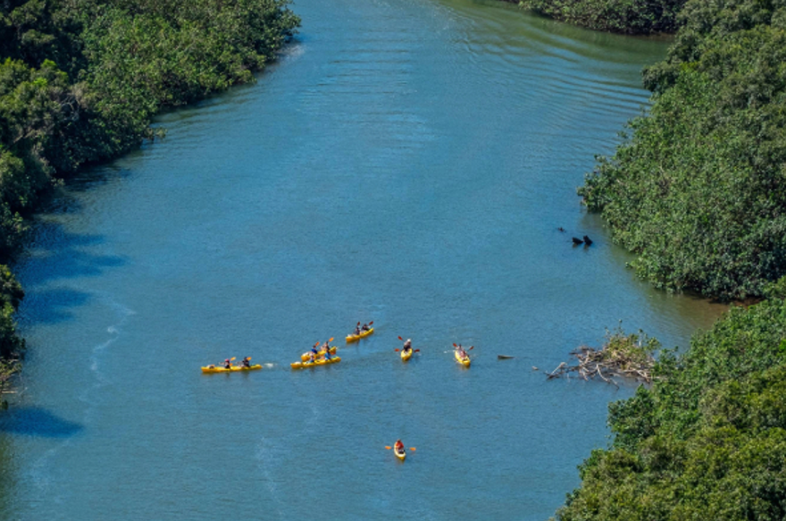 Kayaking the Hanalei River in Kauai: Adventure Awaits